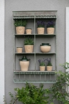 PROWANSALSKA PÓŁKA ŚCIENNA Garden Green Belldeco
