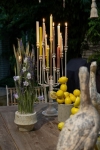 ŚWIECZNIK WIELORAMIENNY Garden Green Rustic Style Belldeco